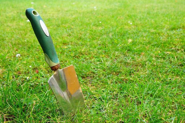 Ein Gartenspaten steckt im grünen Rasen.